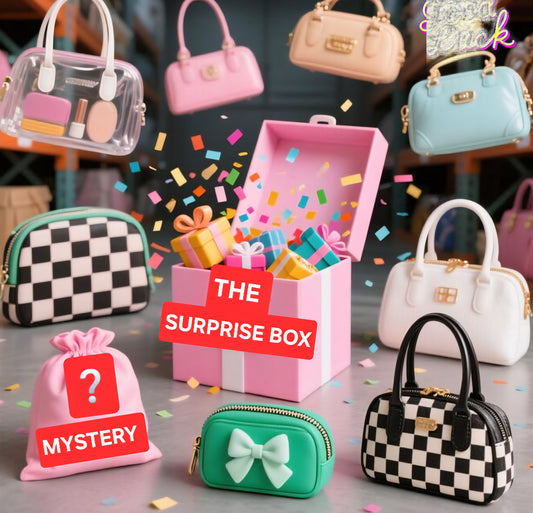 SURPRISE MYSTERY PURSE BOX